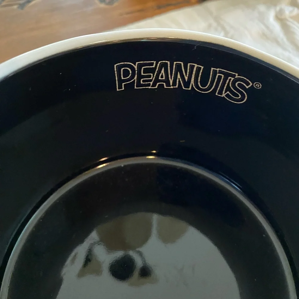 NWT Rae Dunn X Peanuts “SPOOKED POOCH” Soup size Mug